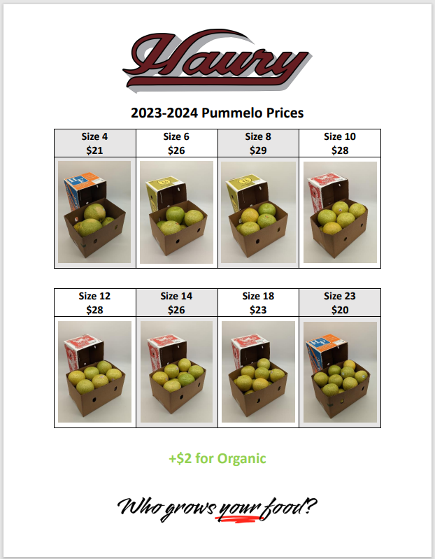 2023-2024 Pummelo Prices